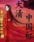 小说《大清中国红》
