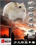 小说《法爷我是只老鼠》