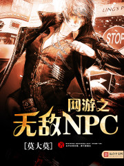 小說《網游之無敵NPC》