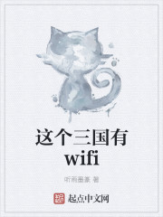 小说《这个三国有wifi》