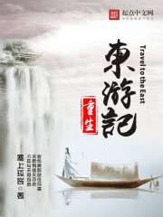 小说《重生东游记》