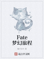 小说《Fate梦幻旅程》
