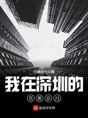 小說《我在深圳的青蔥歲月》