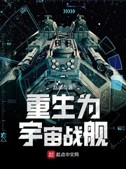 小说《重生为宇宙战舰》