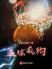 小说《篮球疯狗》