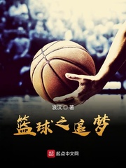 小說《籃球之追夢》