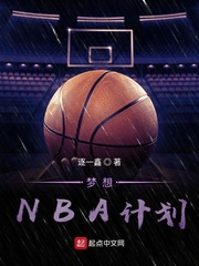 小说《梦想NBA计划》