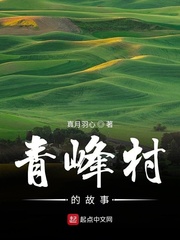 小說《青峰村的故事》
