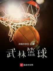 小說《穿越到過去打籃球》
