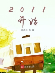 小说《2011开始》