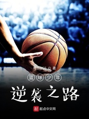 小說《籃球少年逆襲之路》