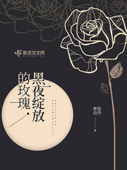 小說《黑夜綻放的玫瑰》